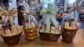 Gift Basket
