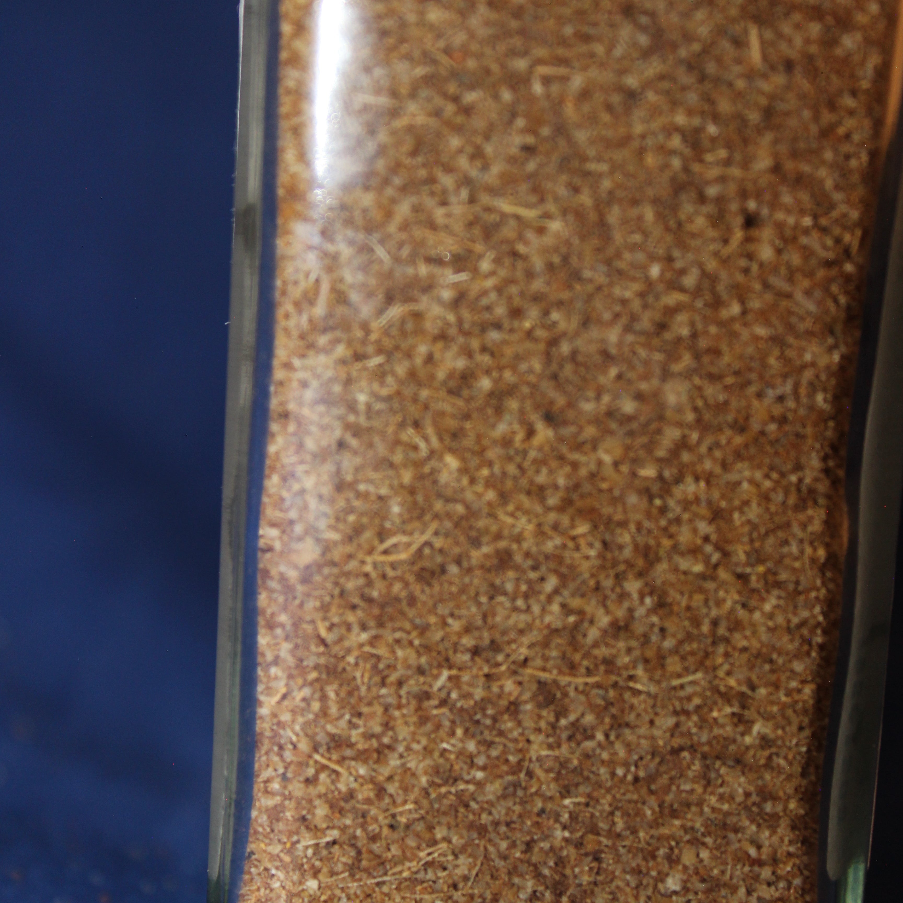 Ground Anise Seed