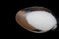 Sea Salt