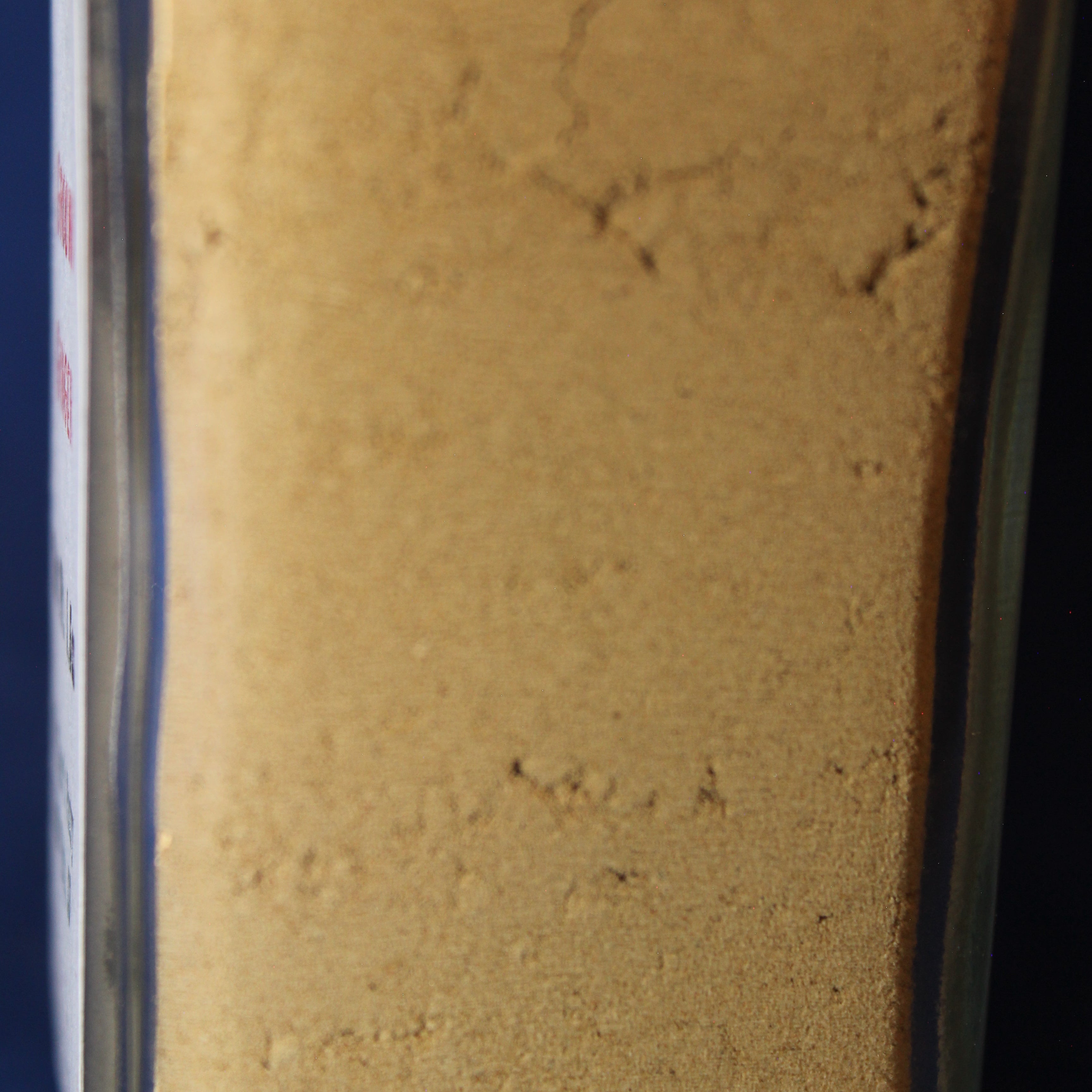 Ground Ginger