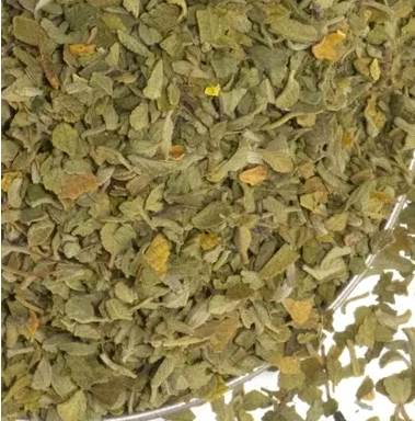 Mexican Oregano